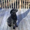 Score  - Sophie/Cabot son - 7 months