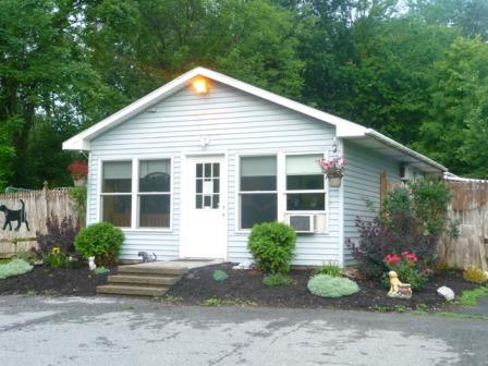 Boarding, Grooming and Doggie Daycare